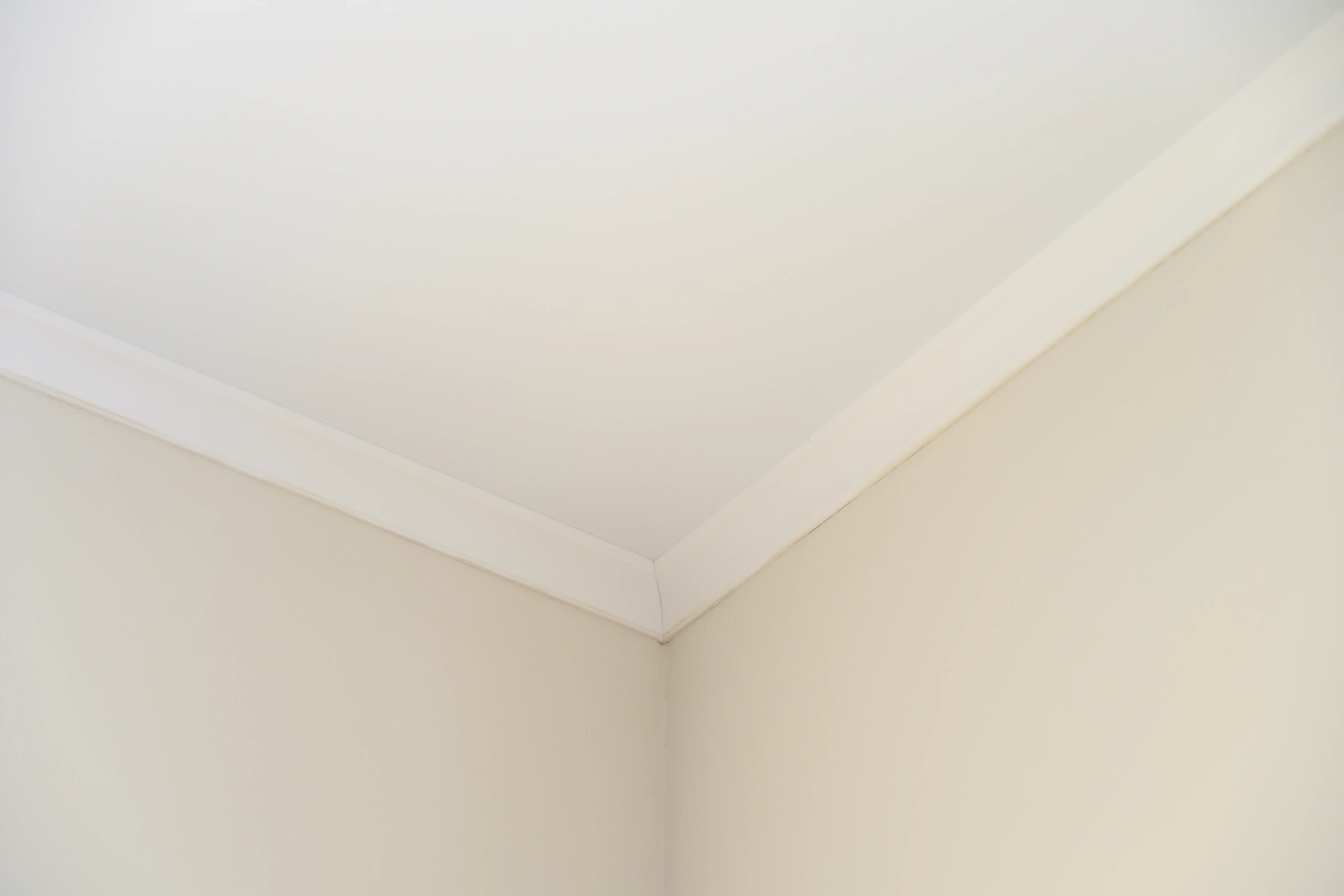 Freshly painted pale interior walls meeting a white ceiling and cornice