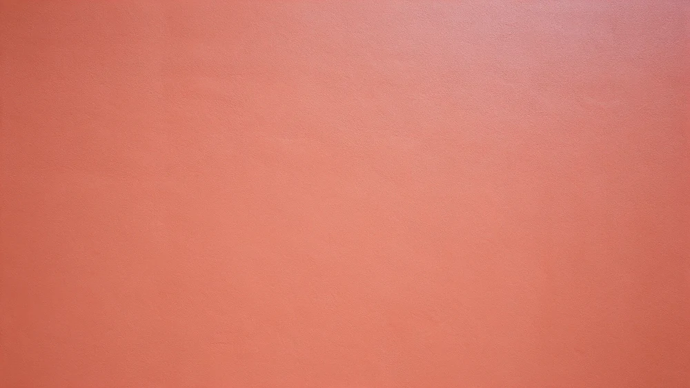 Close-up of a freshly painted coral wall with subtle surface texture